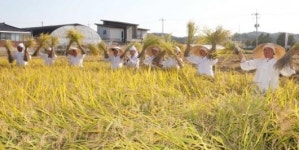 북구, 용전들노래 가을걷이 한마당