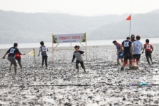 벌교꼬막축제 성료