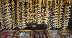 장터의 삶  장터의 맛  능주시장