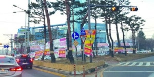 광주 도심, 불법 현수막 몸살