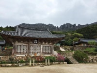 역사·인물·동시대 아트즐기세요