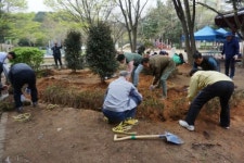 광산구 우산동 주민자치회 식목 행사
