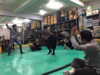 80년 5월 광주정신 마당극으로 알린다