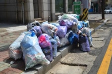 순천시 도로 곳곳 쓰레기 대란 몸살