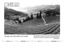 ‘아트플러스 제118호 발행