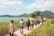 모래밭 노르딕에 다시마 해수찜 스파 호응