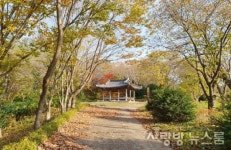사랑방뉴스룸과 함께하는 도시樂-고택·고목 옛 것에서 위로를 얻는다
