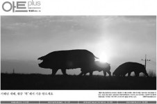 아트 130호 발행…남해안 걷기좋은 길 등 풍성