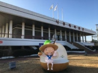 나주배박물관, 올해 배 소재 교육·체험 기회 늘린다