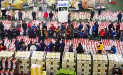 북적이는 과일 공판장