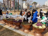 서구자원봉사센터, 봉사활동