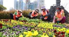 미세먼지 해제…도심 화단 봄꽃단장