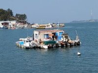 완도 해상가옥 생활 60대 육지에 새 터전