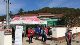 아따~ 진돗개보다 유명한 송가인이어라