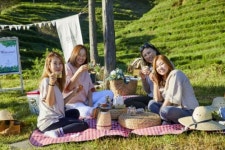 무르익어가는 보성의 가을, 파티와 함께 즐겨보세요!