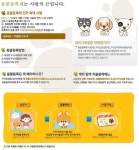 북구, 남구 우리집 반려묘 등록하세요!