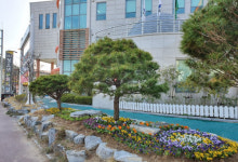 고흥군, 청소년문화의집 및 군립중앙도서관 봄맞이 꽃밭 조성