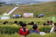 해남 황산연호보리축제 성료