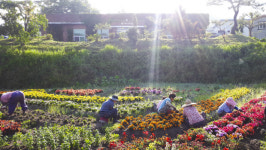 전남도 여름휴가, 농촌으로 오세요