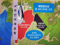 무안공항 인근 태양광발전시설 제동