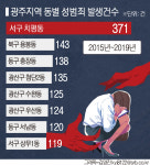 광주 성범죄, 치평동서 가장 빈번