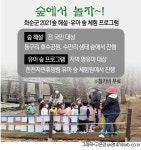 화순군, 숲 해설·유아 숲 체험 프로그램 운영