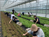 [귀농 1번지 전남에서 희망찾기] ②장성 별내리 한달살이