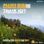 [카드뉴스] 천상의 화원에 가보셨나요?