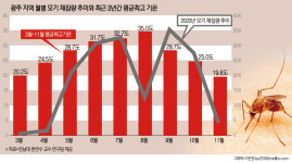 뜸하던 모기, 애ㅐㅐㅐ앵 ···초가을 주의보 사이렌