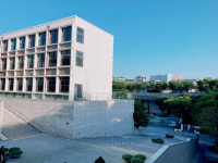 도심과 자연이 어우러진 그 공간에서 산책하다