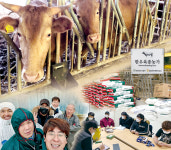 [영상] 2030 축산농 2세들 한우는 내 운명