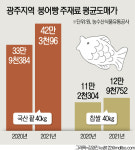 그 많던 붕어빵 다 어디로···붕세권 검색하는 2030