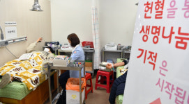 피가 없다면서요 팔뚝 걷어붙인 광주 남구청