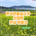 [카드뉴스] 봄 시즌 비대면 안심 관광지 전라도 편!