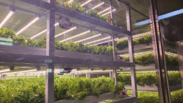 지하철역에 피어난 상추···광주 AI스마트팜 순항