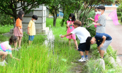 분수대 옆이라면 더위 해결