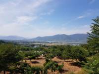 토벌대·빨치산 아픔 딛고 정직하게 산처럼 사는 사람들