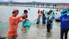 함평돌머리해수욕장 뱀장어잡기 체험 성료