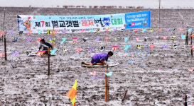 [영상] 보성군, 벌교갯벌 레저뻘배대회