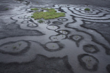 곡성 제월섬 생태, 예술 만나 축제로