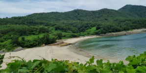 [시민기자영상] 아름다운 여우섬, 낭도에 가자