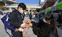 빛고을 반려동물 한마당