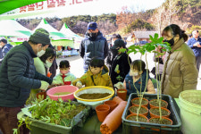 욜로와장성 봄봄프리마켓