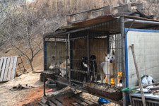 한 근에 8천원 광산구 도살장···지자체는 뭐했나