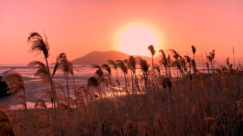 [시민기자영상] 순천만 동쪽 끝 아름다운 와온해변