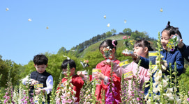 봄을 여는 소리 함평 나비 날다