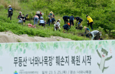 흑염소·외래목초로 훼손된 무등산 목장부지 본격 복원