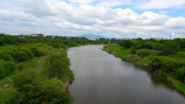 [시민기자영상]도심 속 국가습지에서 생물탐사해요