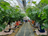 장성군치유농업협회, 내가 그린 치유의 꽃 성료