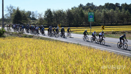 남도풍경 바라보며 라이딩